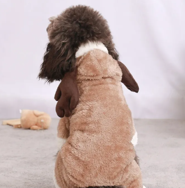 Autumn & Winter Dog Costumes